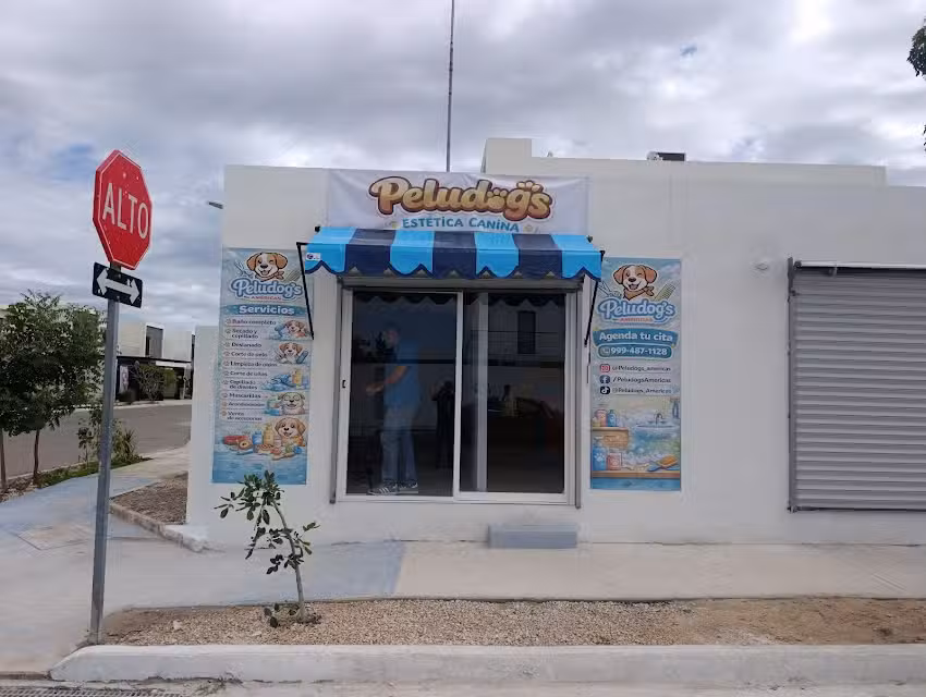 Peludog&rsquo;s Americas