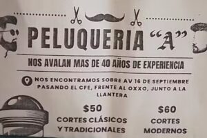 Peluquer&iacute;a A