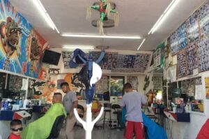 Peluquer&iacute;a Aldos