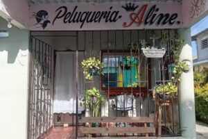 Peluquer&iacute;a Aline