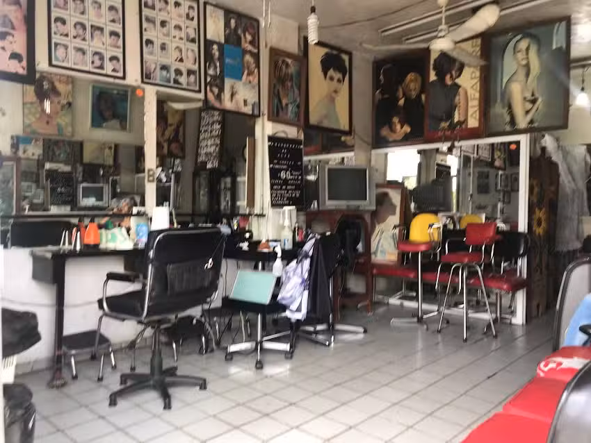 Peluquer&iacute;a Aliz