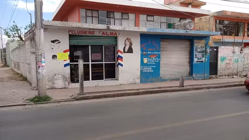 Peluquer&iacute;a Alma
