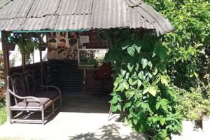 Peluquer&iacute;a Alma Montoya