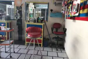 Peluquer&iacute;a blanca nieves