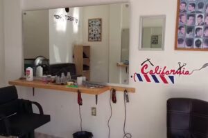 Peluquer&iacute;a California