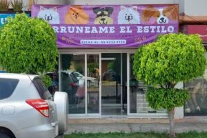 Peluquer&iacute;a Canina