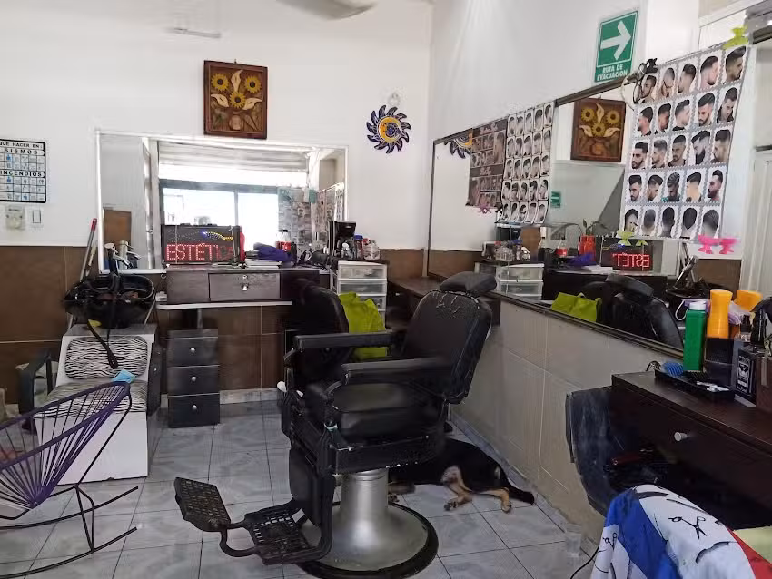 PELUQUERIA Carmita