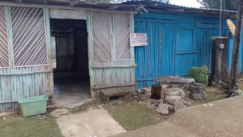 Peluquer&iacute;a cheque