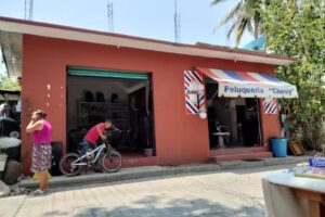 Peluquer&iacute;a Chewy