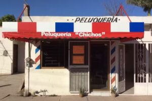 Peluquer&iacute;a chichos