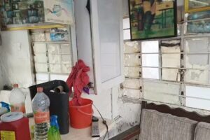 Peluquer&iacute;a D Pablos