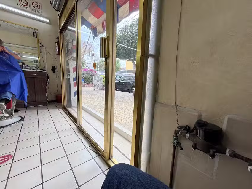 Peluquer&iacute;a Dandy