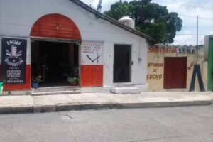 Peluquer&iacute;a De Pelos y Mas Alondrita