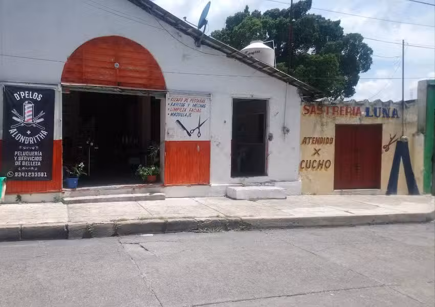 Peluquer&iacute;a De Pelos y Mas Alondrita