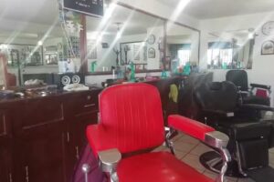 Peluquer&iacute;a Del Sur