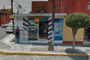 Peluquer&iacute;a Delf&iacute;n