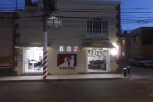 Peluquer&iacute;a dicante,s