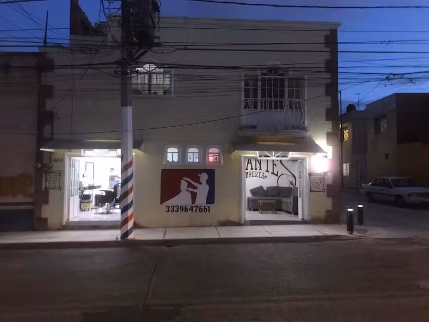 Peluquer&iacute;a dicante,s