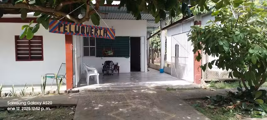 Peluqueria don gato