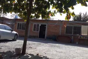 Peluquer&iacute;a Don Guty