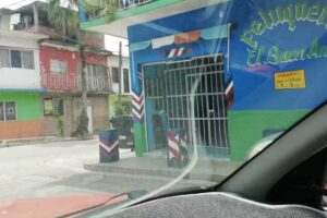 Peluquer&iacute;a El Buen Amigo