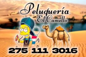 Peluqueria El Camello