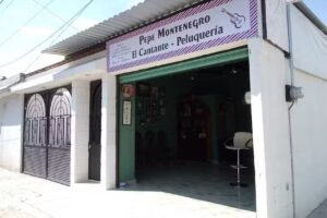 Peluqueria El Cantante