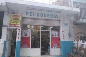 peluquer&iacute;a el duende