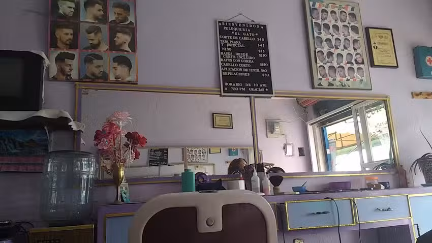 PELUQUERIA &ldquo;EL GATO&rdquo;