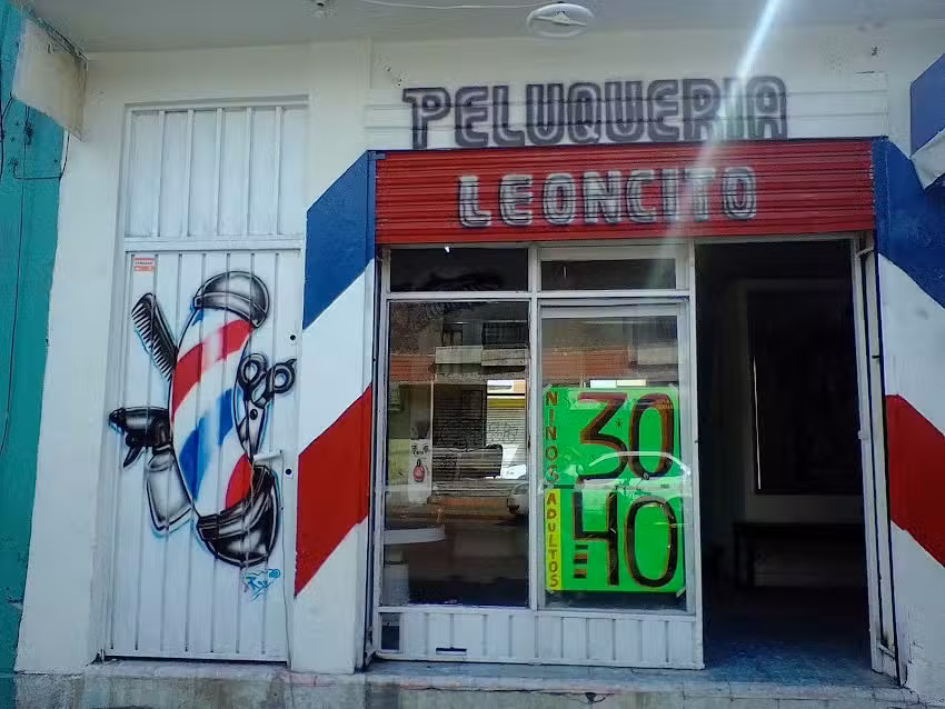 Peluquer&iacute;a El Leonsito