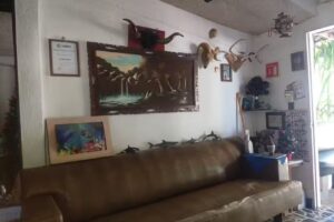 Peluqueria El Marino