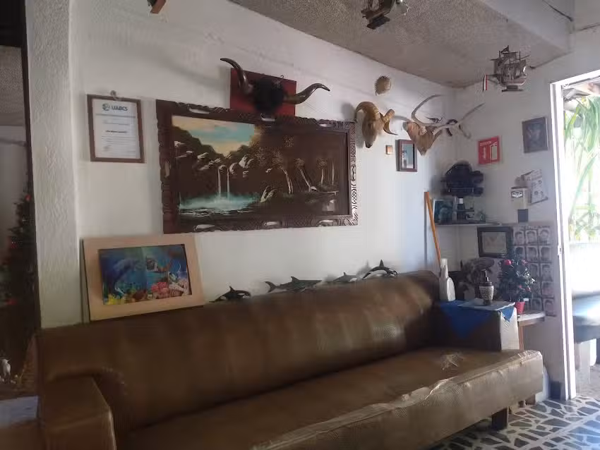 Peluqueria El Marino