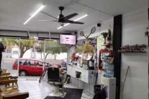 Peluquer&iacute;a El Pavo