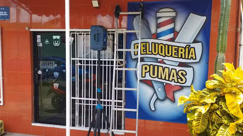 Peluqueria el pumas
