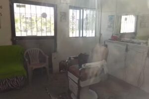 Peluquer&iacute;a El Raton