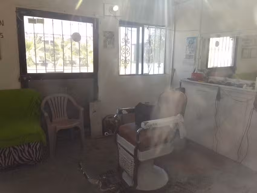 Peluquer&iacute;a El Raton