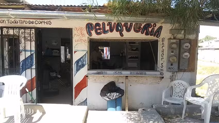 Peluquer&iacute;a enrique