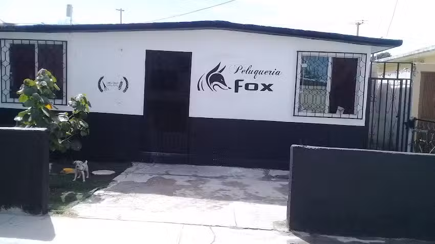 PELUQUER&Iacute;A FOX
