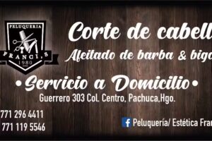 Peluquer&iacute;a Francis