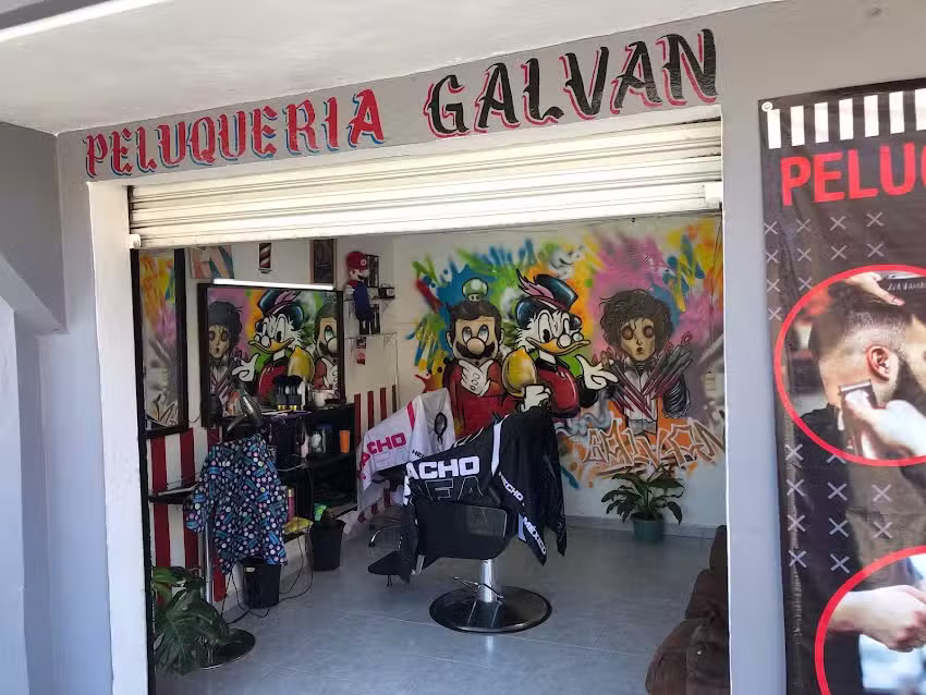 Peluquer&iacute;a Galvan
