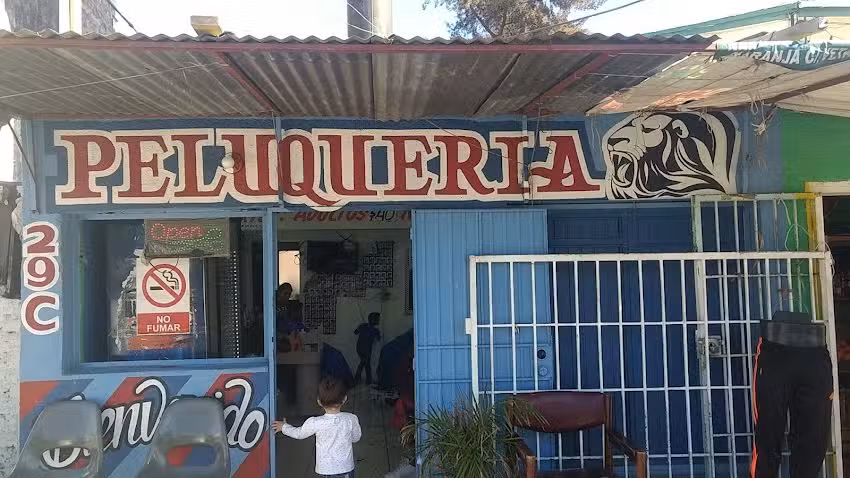 Peluquer&iacute;a Hnos Le&oacute;n