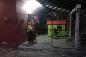 Peluquer&iacute;a Ingrid