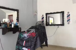 “PELUQUERIA” “LA 223”