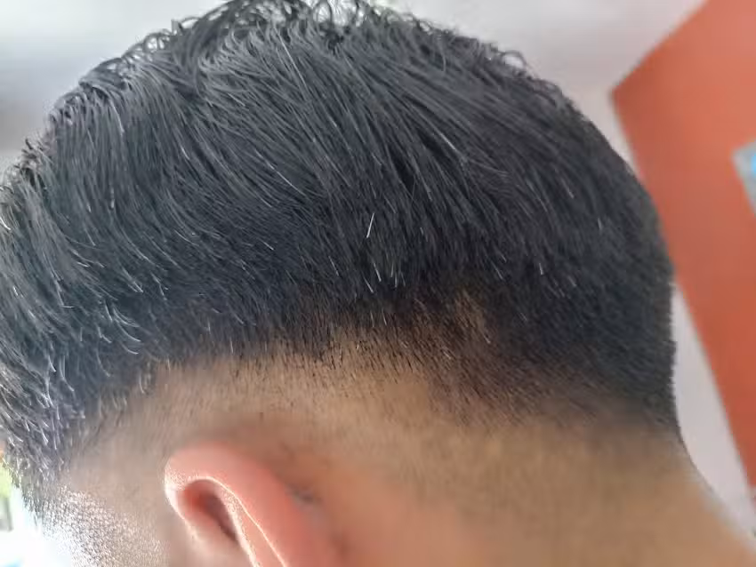 Peluquer&iacute;a La Reyna