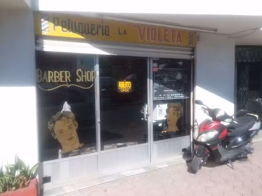 Peluquer&iacute;a La Violeta