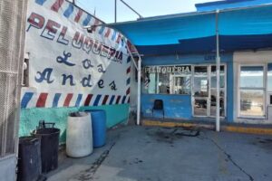 Peluquer&iacute;a Los andes