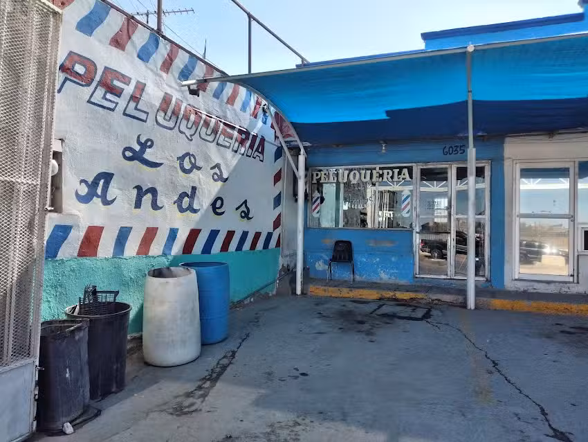 Peluquer&iacute;a Los andes