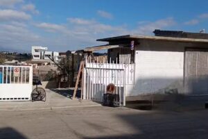 Peluquer&iacute;a M&aacute;ximo