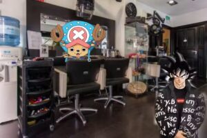 Peluquer&iacute;a monkey d luffy