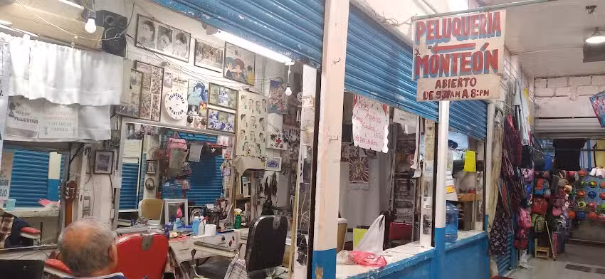 Peluquer&iacute;a monteon